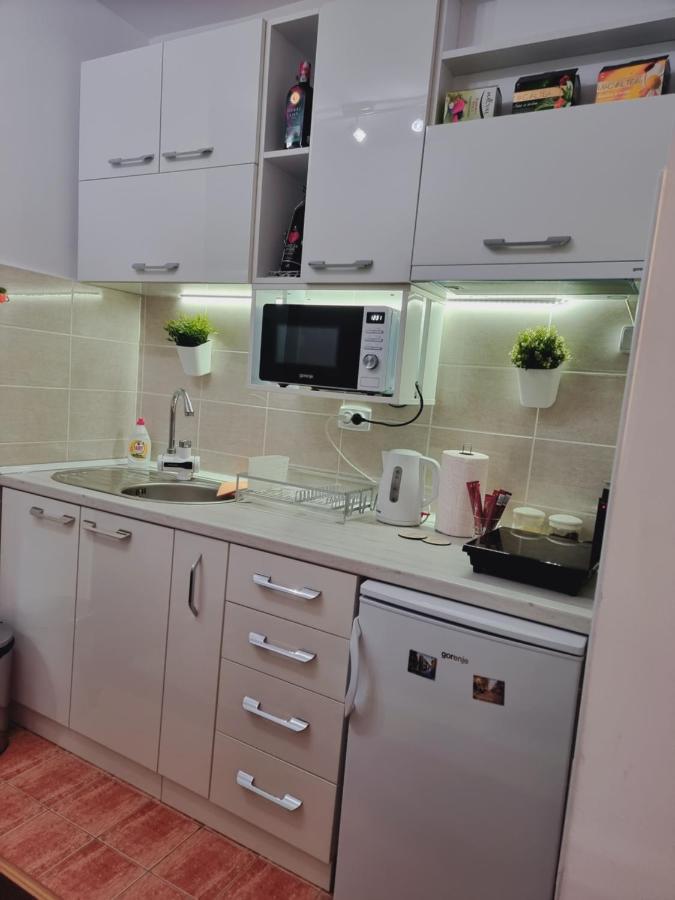 Apartman Temida Lux Врнячка-Баня Экстерьер фото