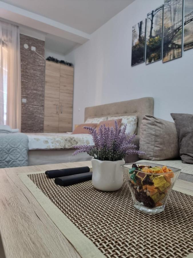 Apartman Temida Lux Врнячка-Баня Экстерьер фото